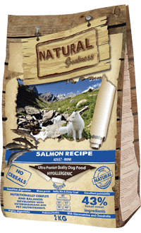 Salmon Recipe Mini